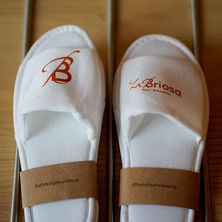 La Briosa 4* Bolzano